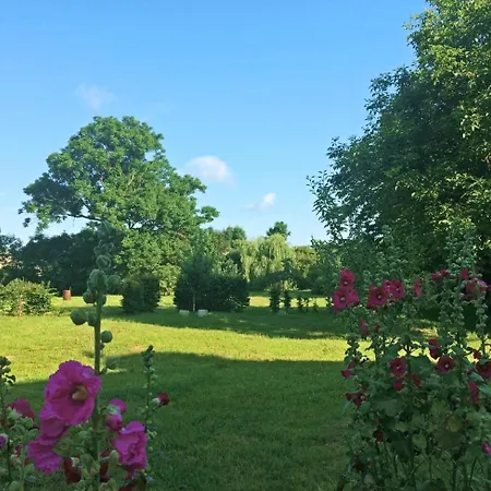 Storchenhaus Abbendorf - Mit Badestelle Im Dorf 펜션 Rühstädt